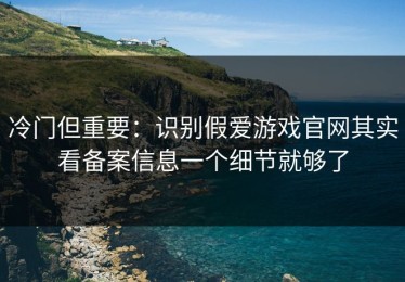 冷门但重要：识别假爱游戏官网其实看备案信息一个细节就够了