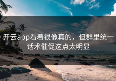 开云app看着很像真的，但群里统一话术催促这点太明显