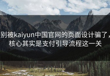 别被kaiyun中国官网的页面设计骗了，核心其实是支付引导流程这一关