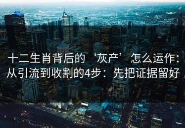 十二生肖背后的‘灰产’怎么运作：从引流到收割的4步：先把证据留好